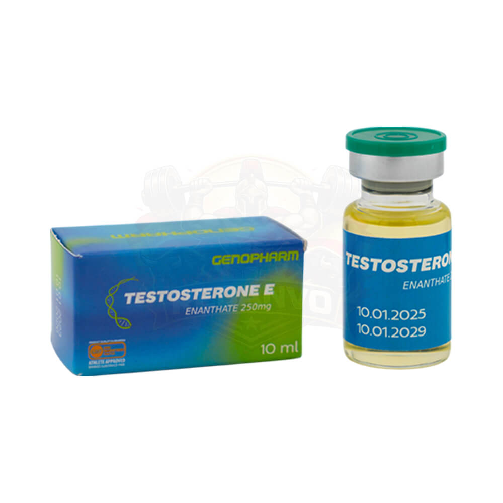 Comprar Testosterone E Frasco 250 mg/ml - Genopharm Comprar Testosterone E Frasco 250 mg/ml - Genopharm